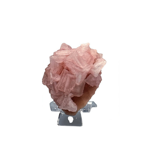 pink halite singapore