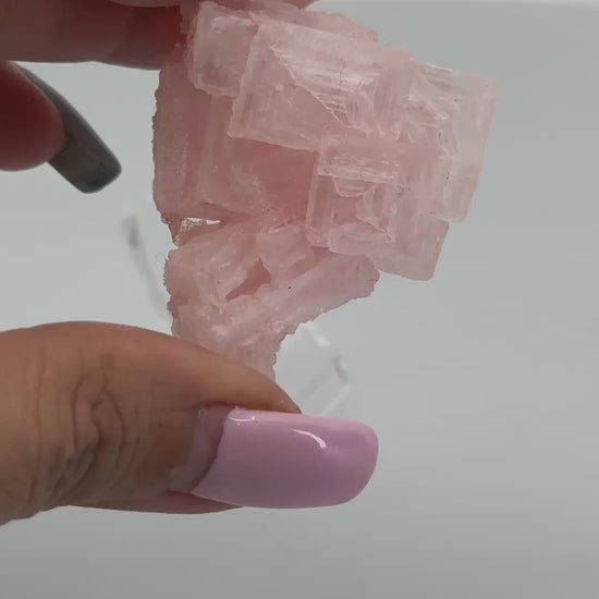 pink halite singapore