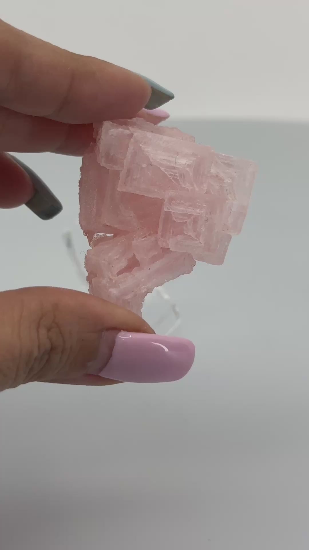 pink halite singapore