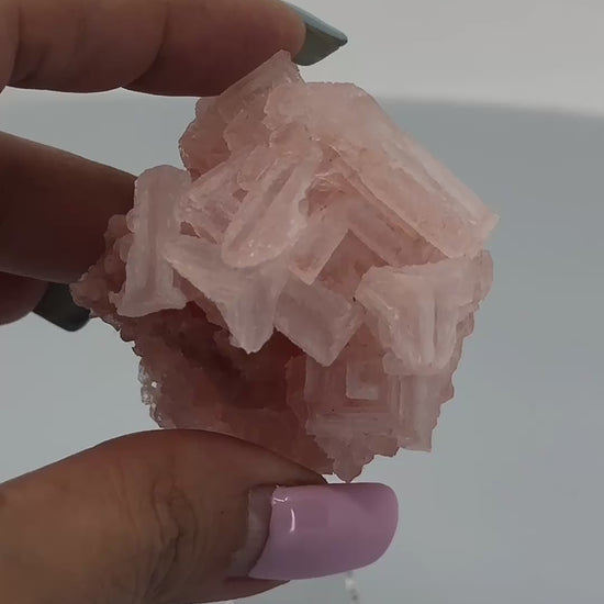 pink halite singapore