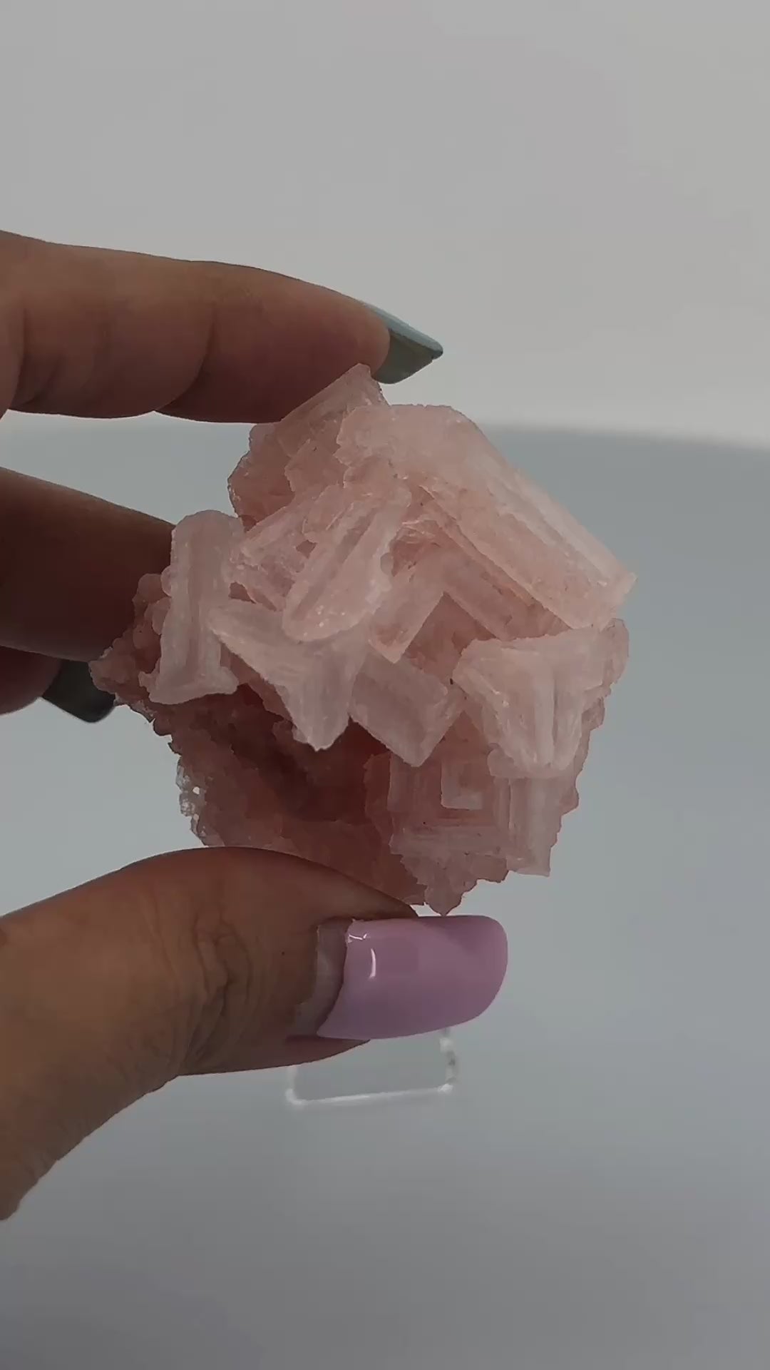 pink halite singapore